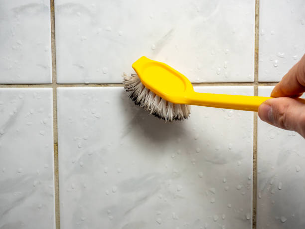 Best Emergency Mold Remediation in Beckley, WV