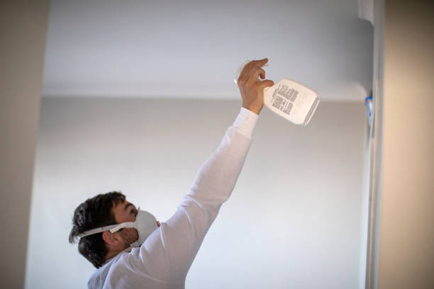Best Preventive Mold Services in Beckley, WV