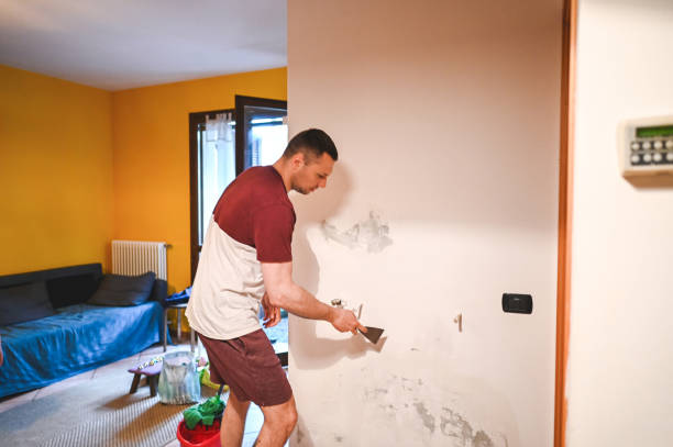 Best Health and Safety Mold Remediation in Beckley, WV